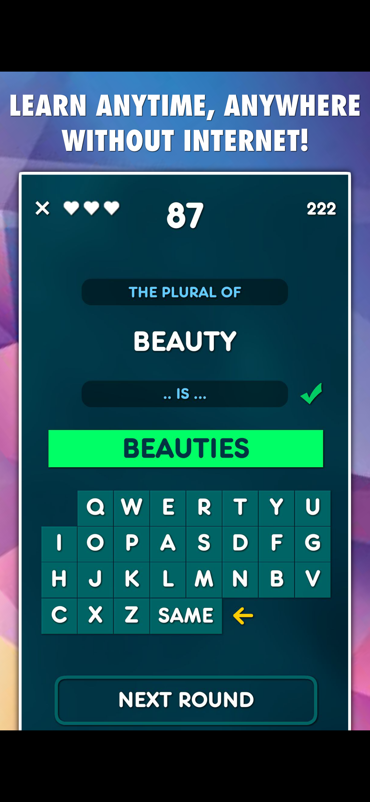 Plurals & Singulars Test screenshot 2