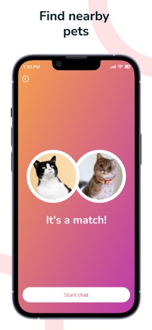 PetMeeter screenshot