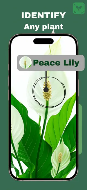 Plant Identifier - PetalPeek screenshot 1