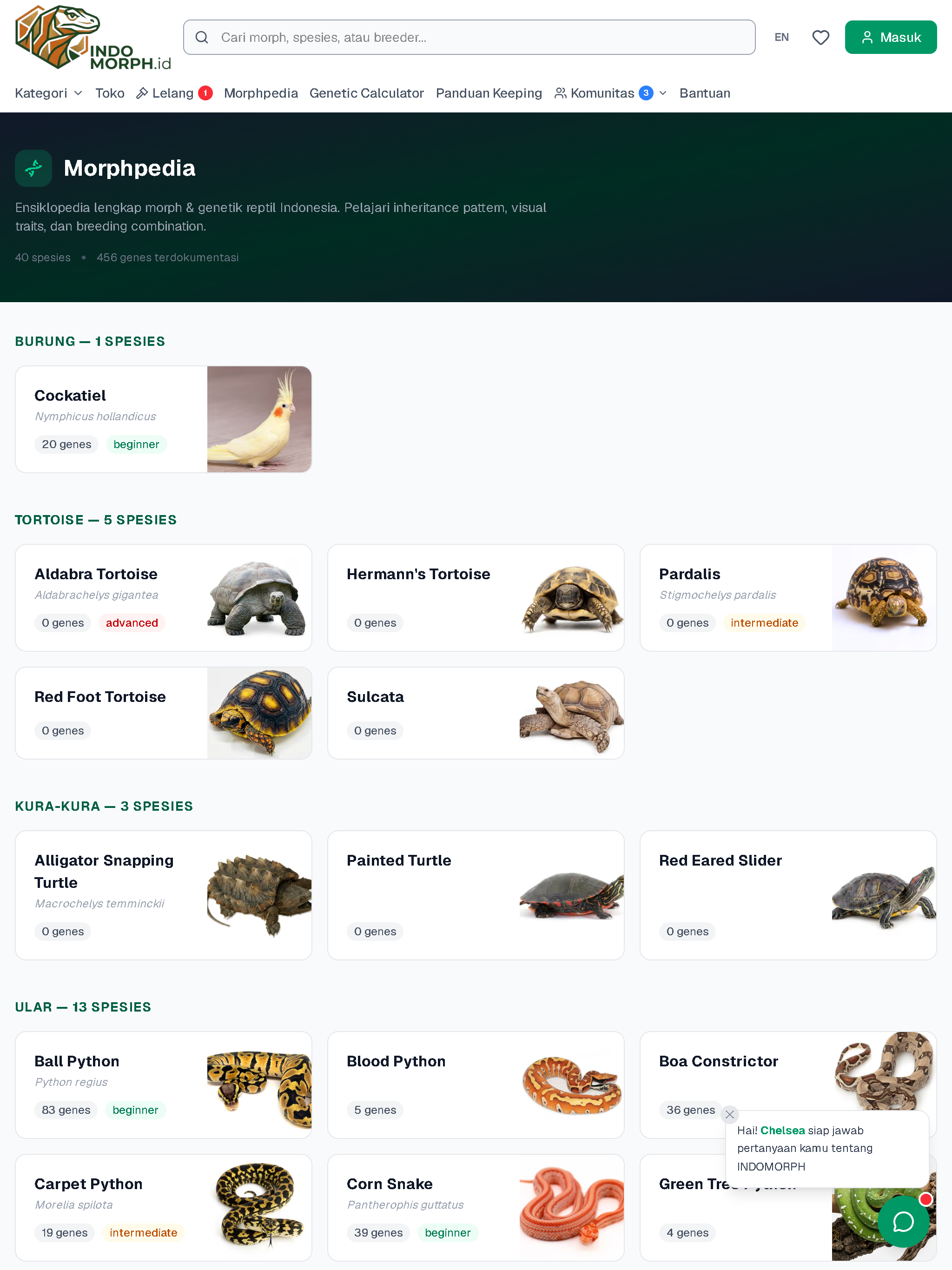 Indomorph screenshot 12