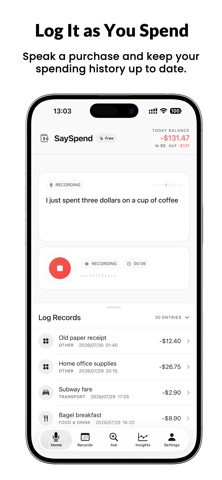 SaySpend: AI Expense Tracker Screenshot 4 of 9
