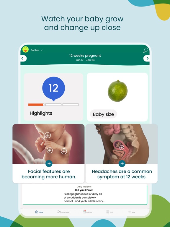 BabyCenter Track Pregnancy App iPad app afbeelding 2