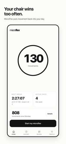 MicroFlex Screenshot 1 of 10