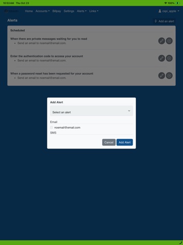 The Hamilton Bank iPad screenshot