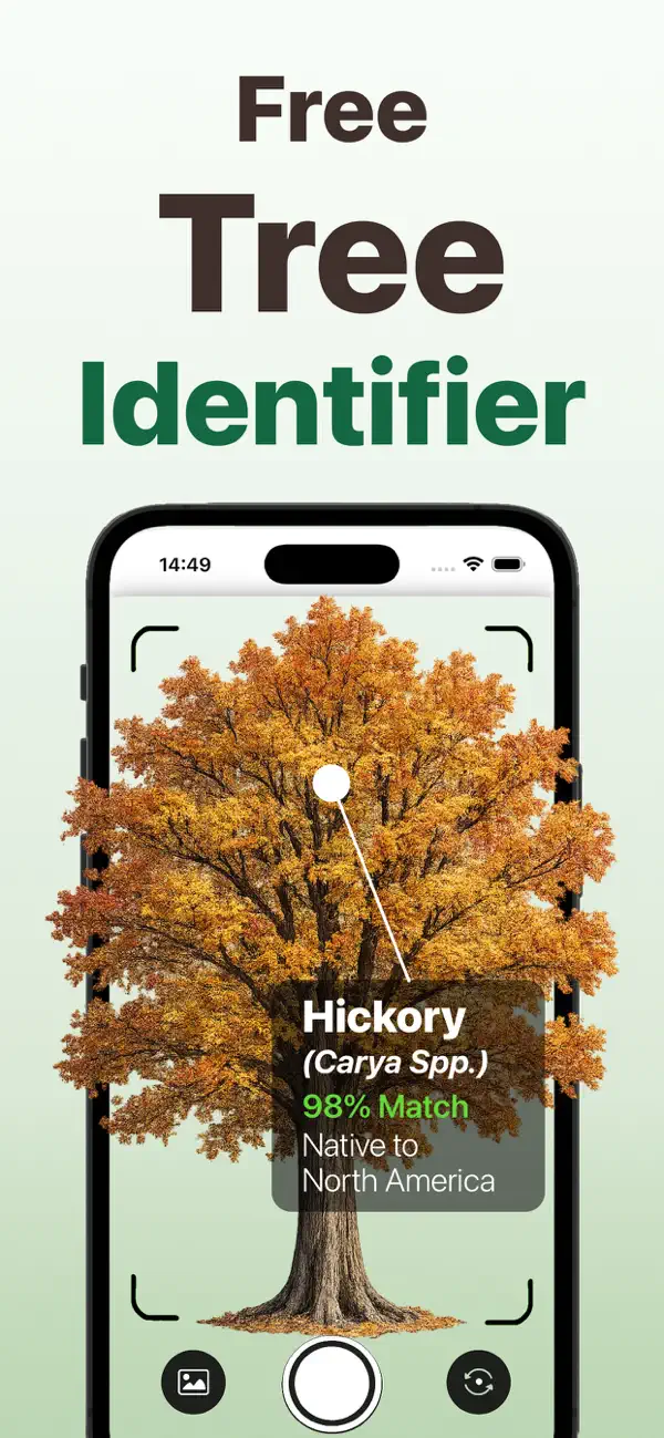 Screenshot #1 pour Forest Tree Identifier