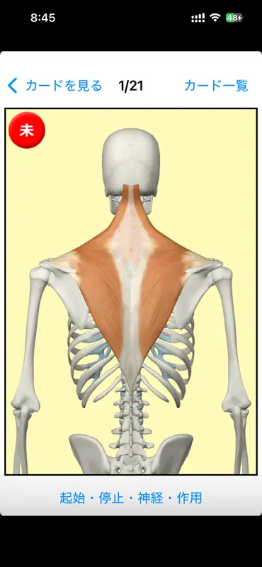 筋肉暗記（視覚で遊んで覚えよう） screenshot 6 of 7