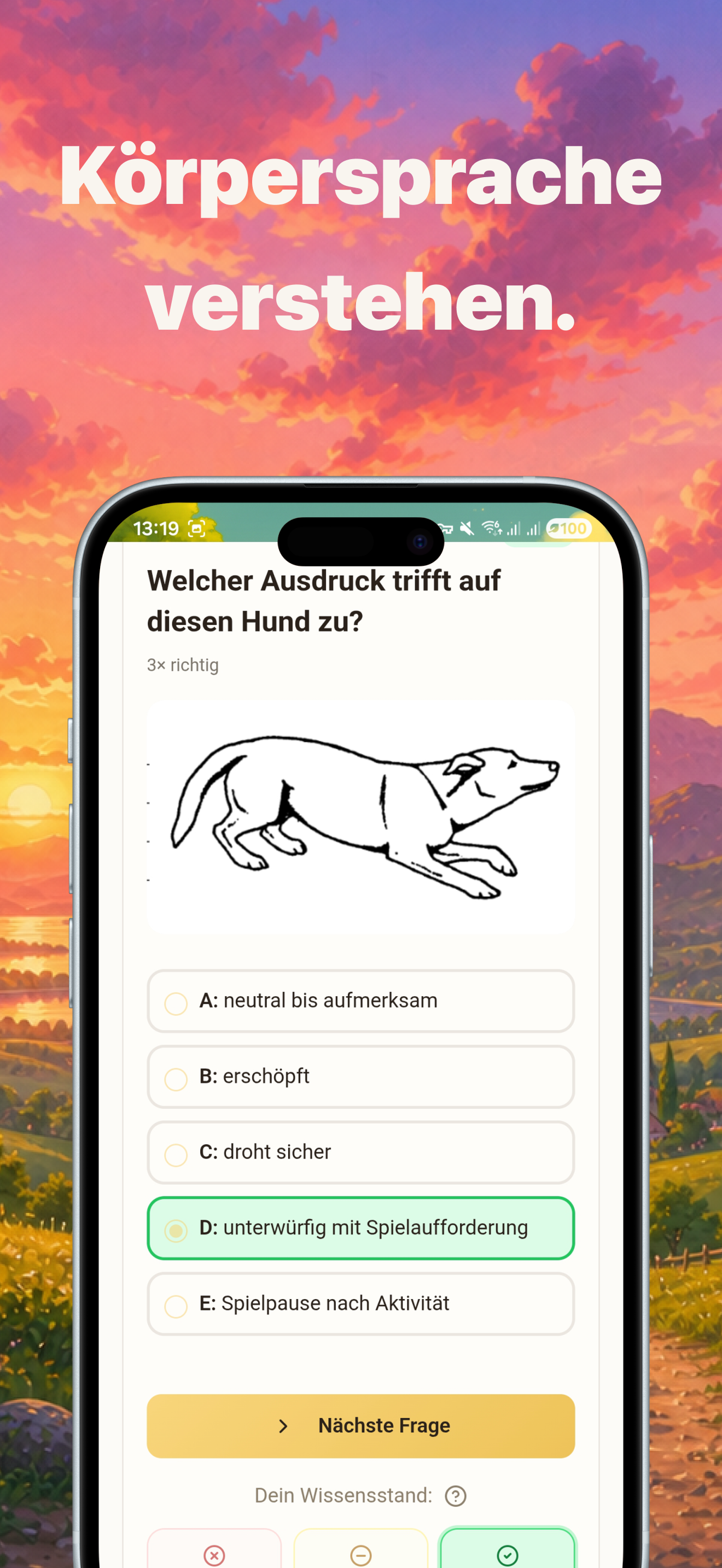 Wolfi | Hundeführerschein