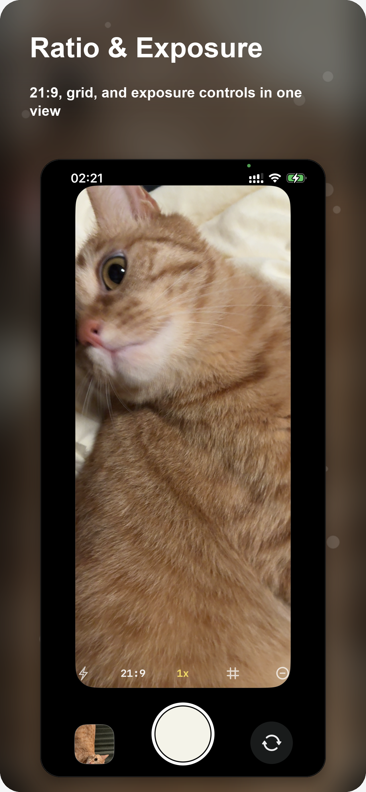 Rawly screenshot 3