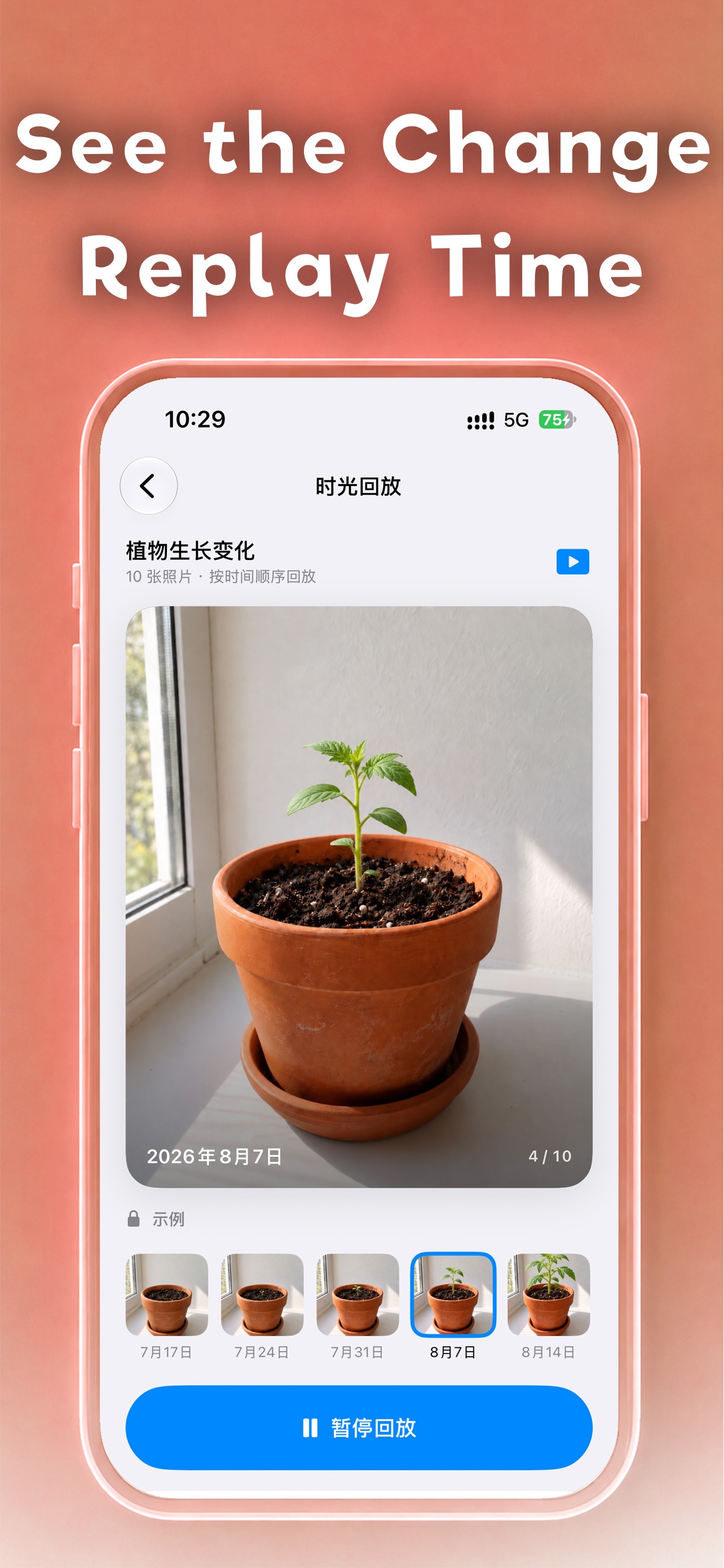 Screenshot 5 of 时光复拍 AgainFrame