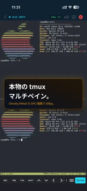 MT - Mosh Terminal iPhone screenshot 5