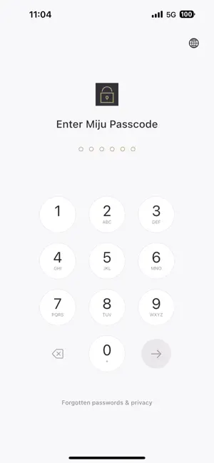 Miju Vault screenshot 2