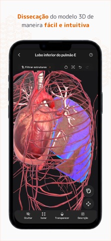 MedRoom Anatomy iPhone screenshot