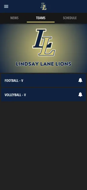 Lindsay Lane Lions screenshot 4