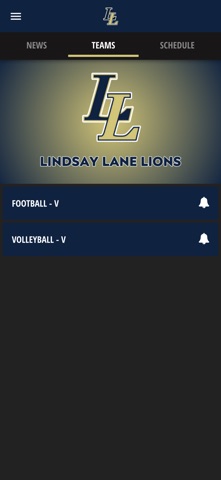 Lindsay Lane Lions screenshot