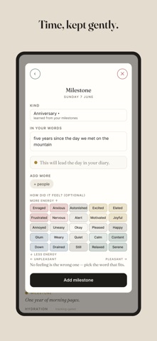 TimePeace — Daily Log iPhone screenshot
