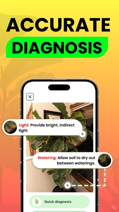 Plant Identifier Diagnosis Screenshot