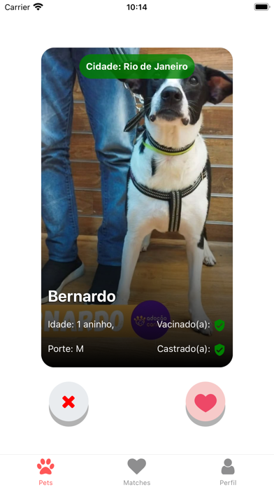 Aumor Perfeito Screenshot