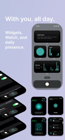 Still - Calm Breathing & Reset screenshot