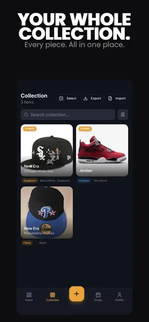 Zorvyn screenshot 2