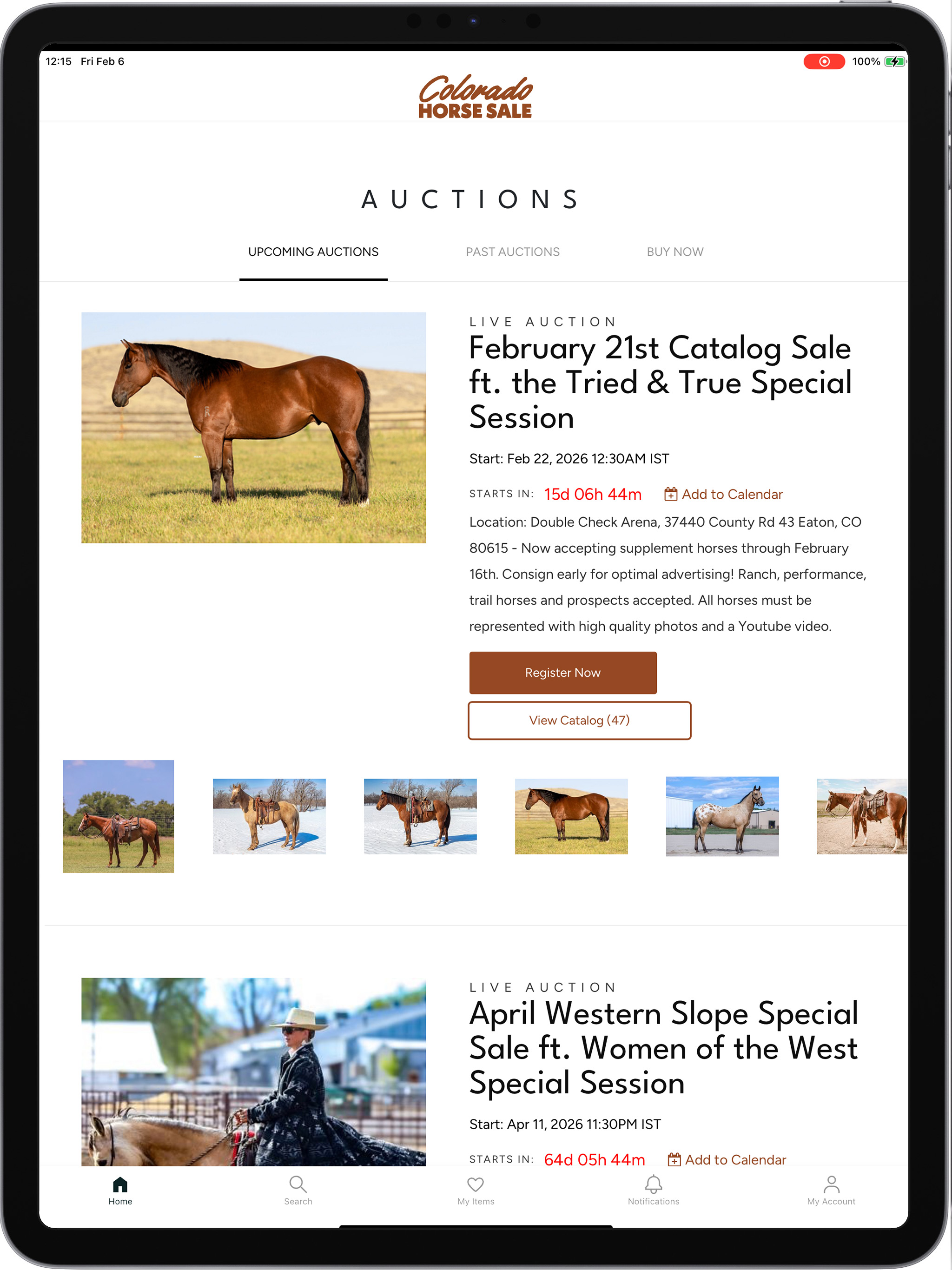 Colorado Horse Sale