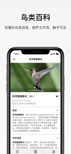懂鸟 iPhone screenshot 6