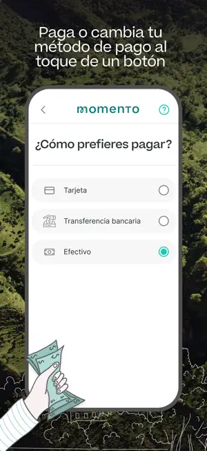 Momento Seguros screenshot 4