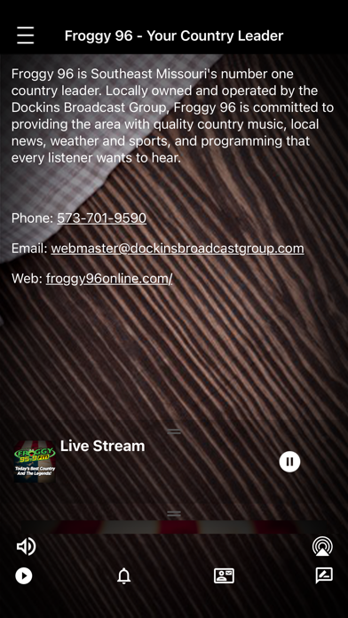 Froggy 96 Online Screenshot