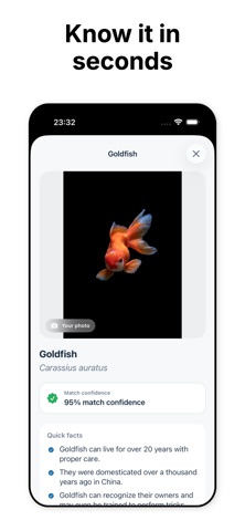 Fish Identifier: Fish Lens AI Screenshot 2 of 4