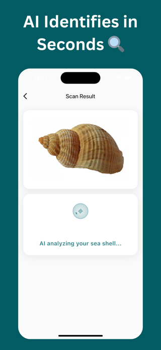 Sea Shell Identifier – AI Scan Screenshot 5 of 6