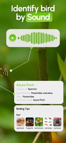 [bird identifier] by Birdby iPhone screenshot
