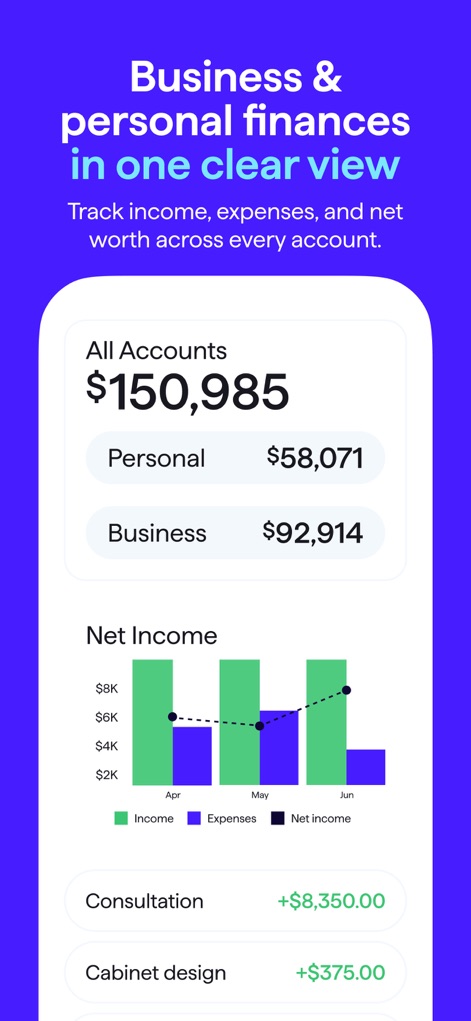 Quicken: Intelligent Money - This tool provides a unified financial perspective, displaying consolidated personal and business account totals alongside a dynamic net income bar chart for comprehensive financial analysis.