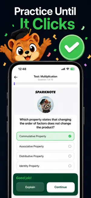 Study & Flashcards: Sparknote screenshot 3