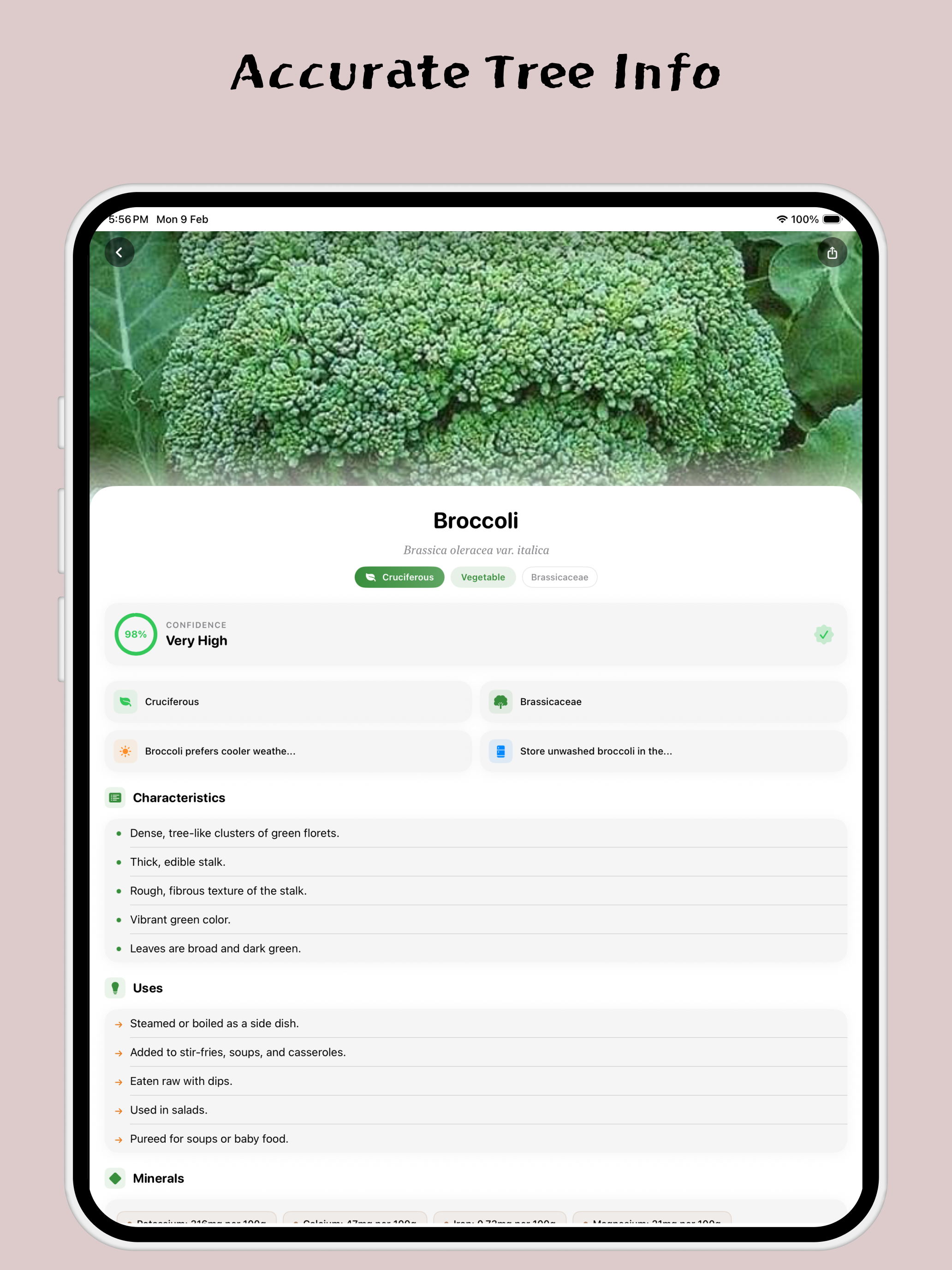 Vegetable Identifier: Veggie