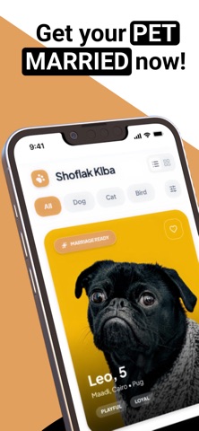 Shoflak Klba iPhone screenshot