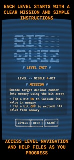 Bit Quiz 16 screenshot 2