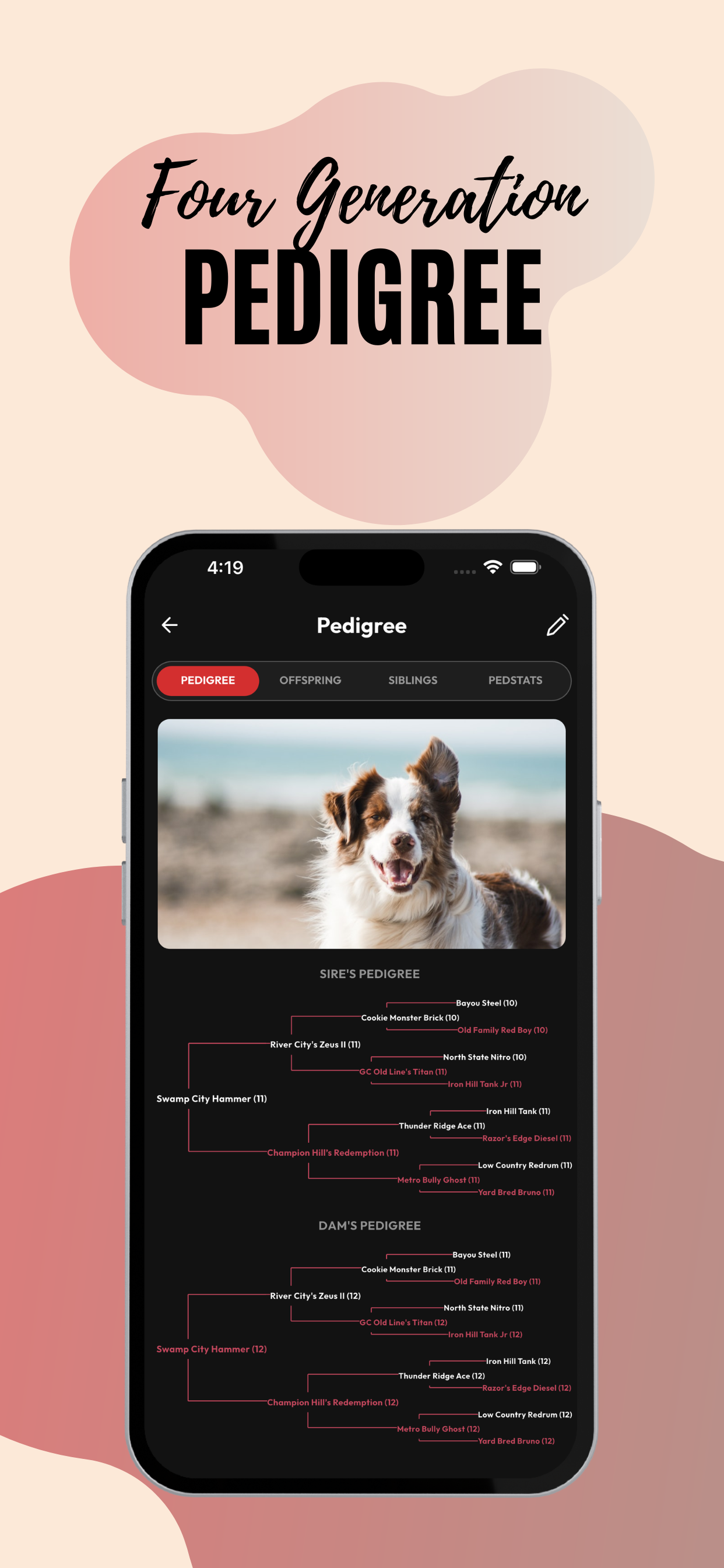 Bloodlines: Social for dogs