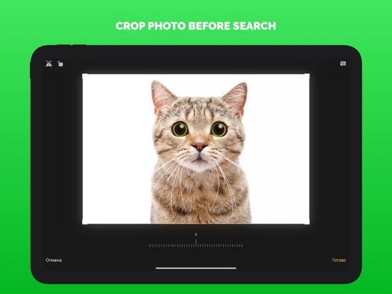 Search By Image: Lens Identify iPad screenshot 6 - Utilities app