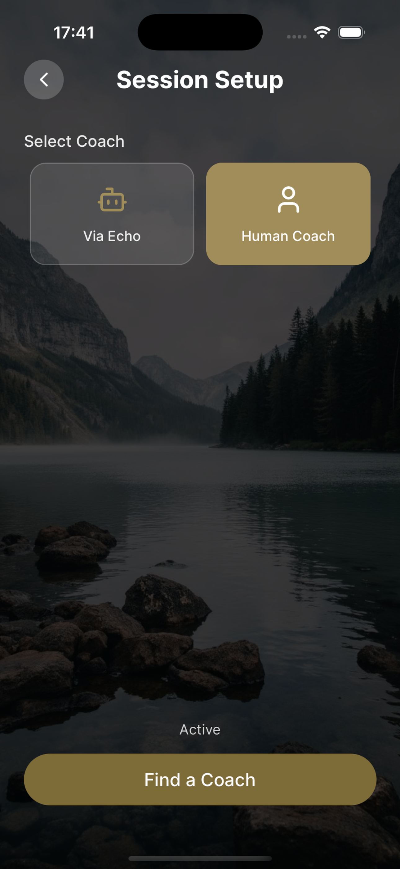 Via Echo screenshot 7