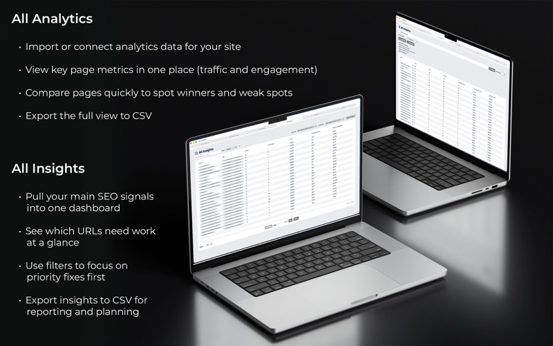 SEO & Keyword Insights screenshot