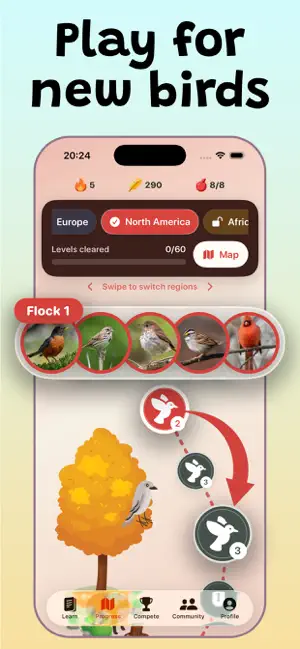 Syrinx: Learn Bird Songs screenshot 4