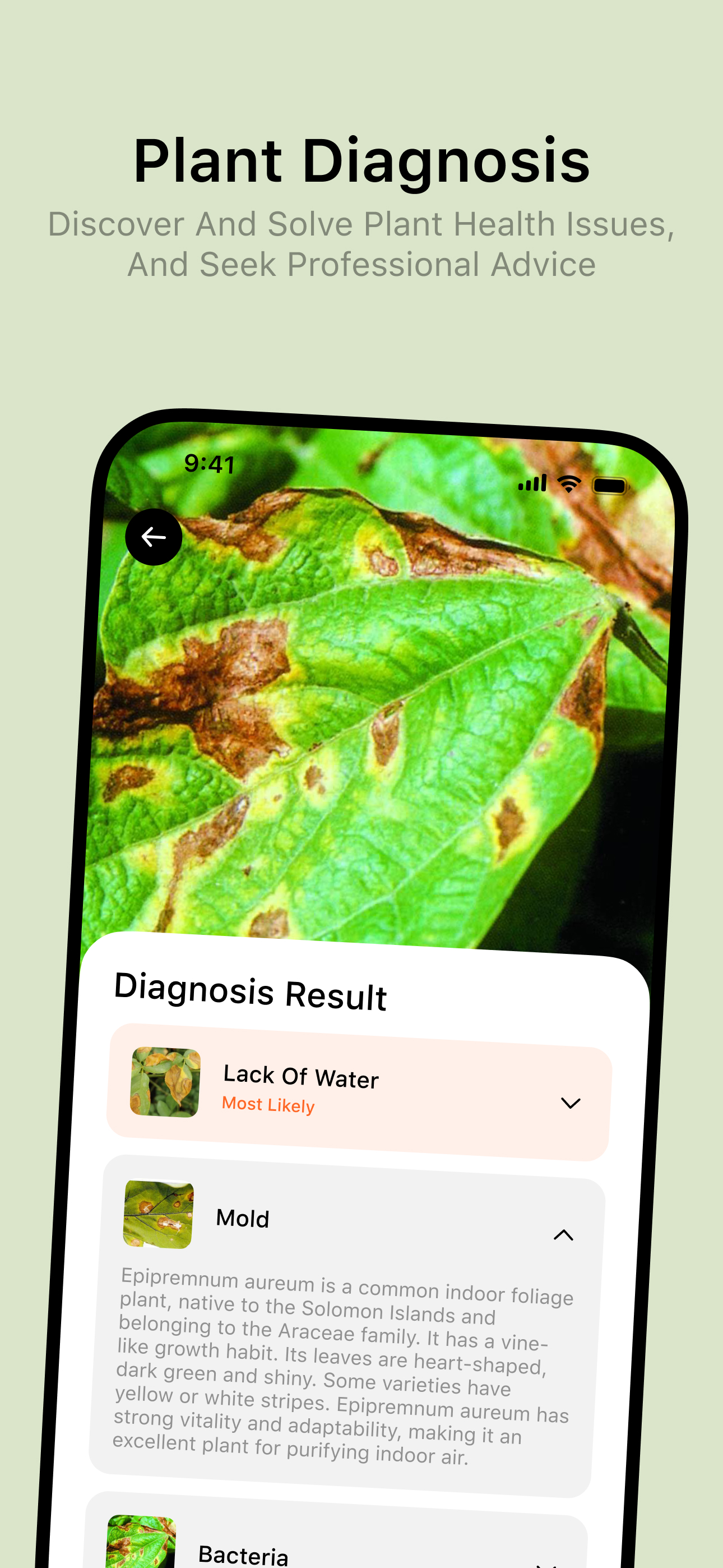 PicturePlant Ai Identifier