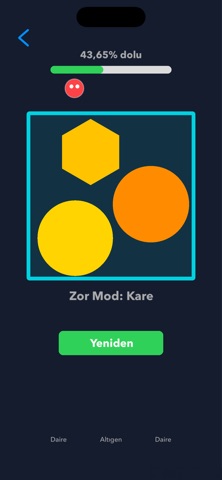 Fill The Shape screenshot