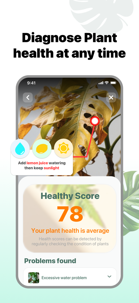 AI Plant - What Plant is this screenshot 4