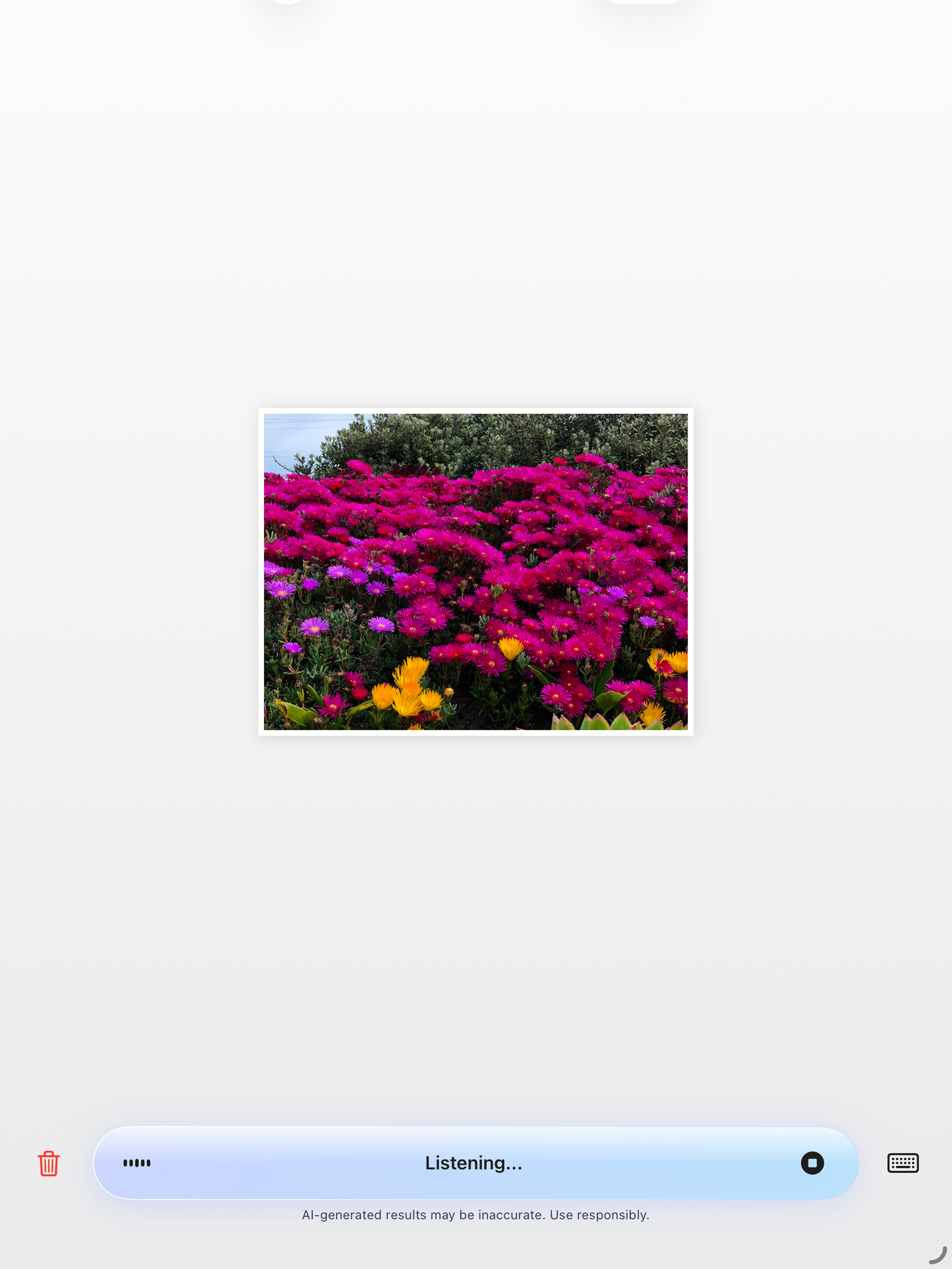 BraBraPhoto screenshot 6