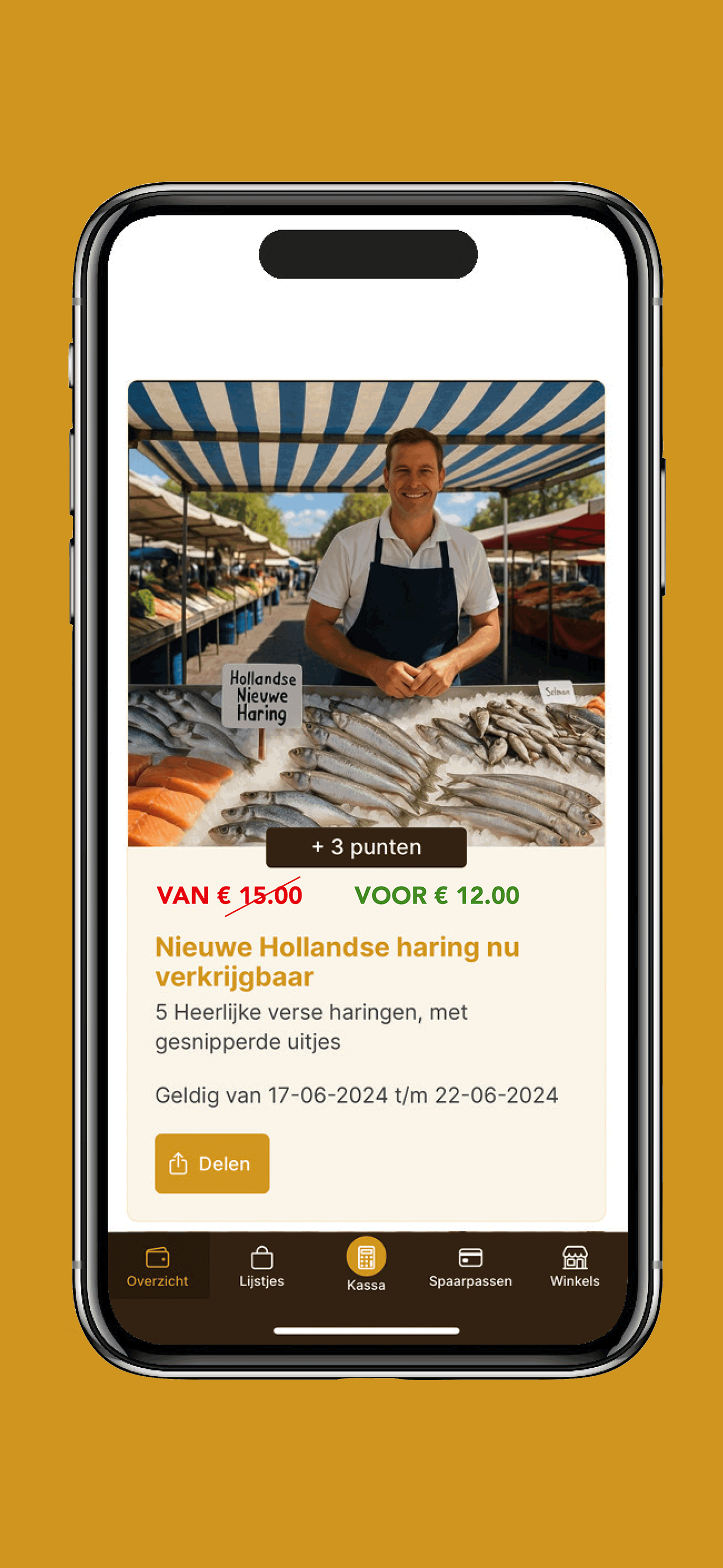 SkippiPoints screenshot 6