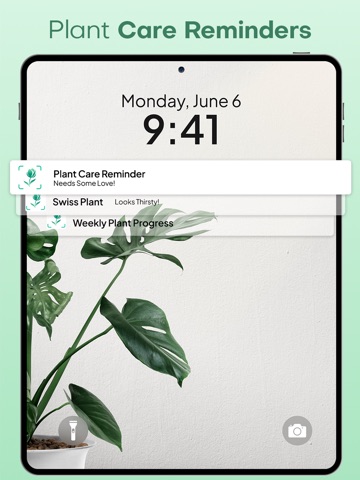 Plantae - AI Plant Identifier iPad screenshot