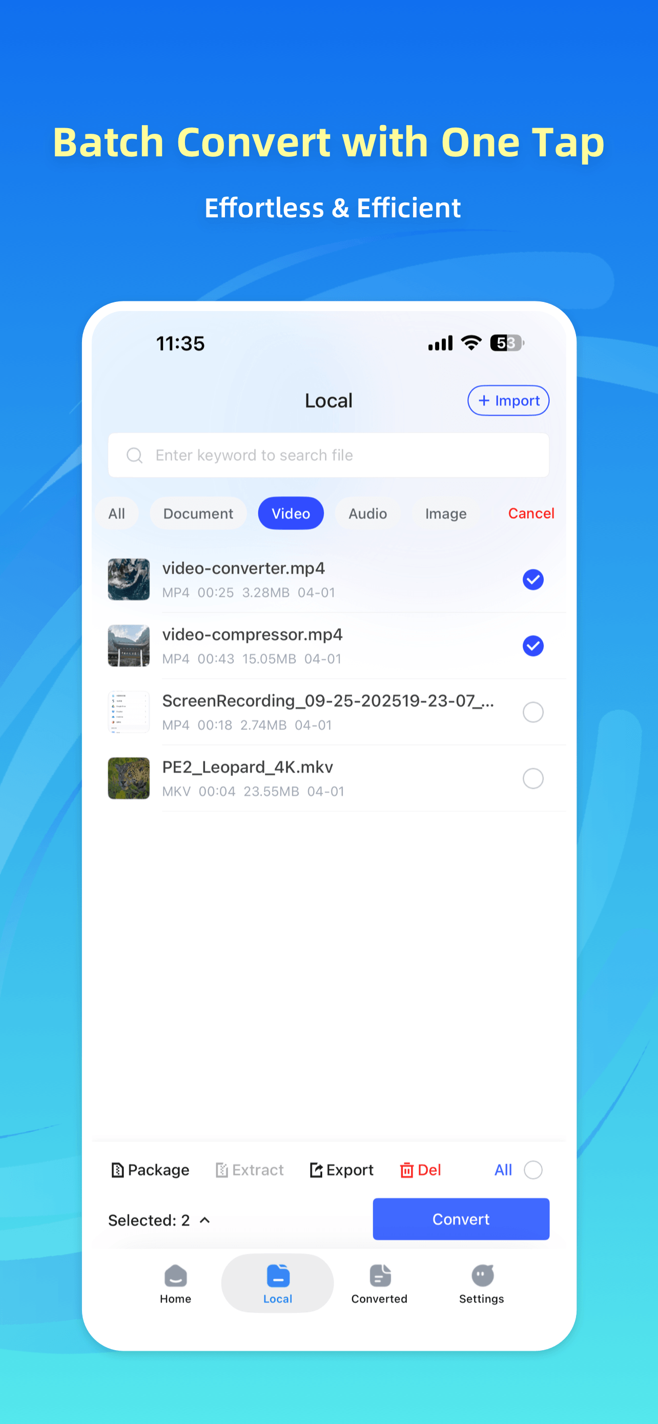Format Converter: Video & PDF