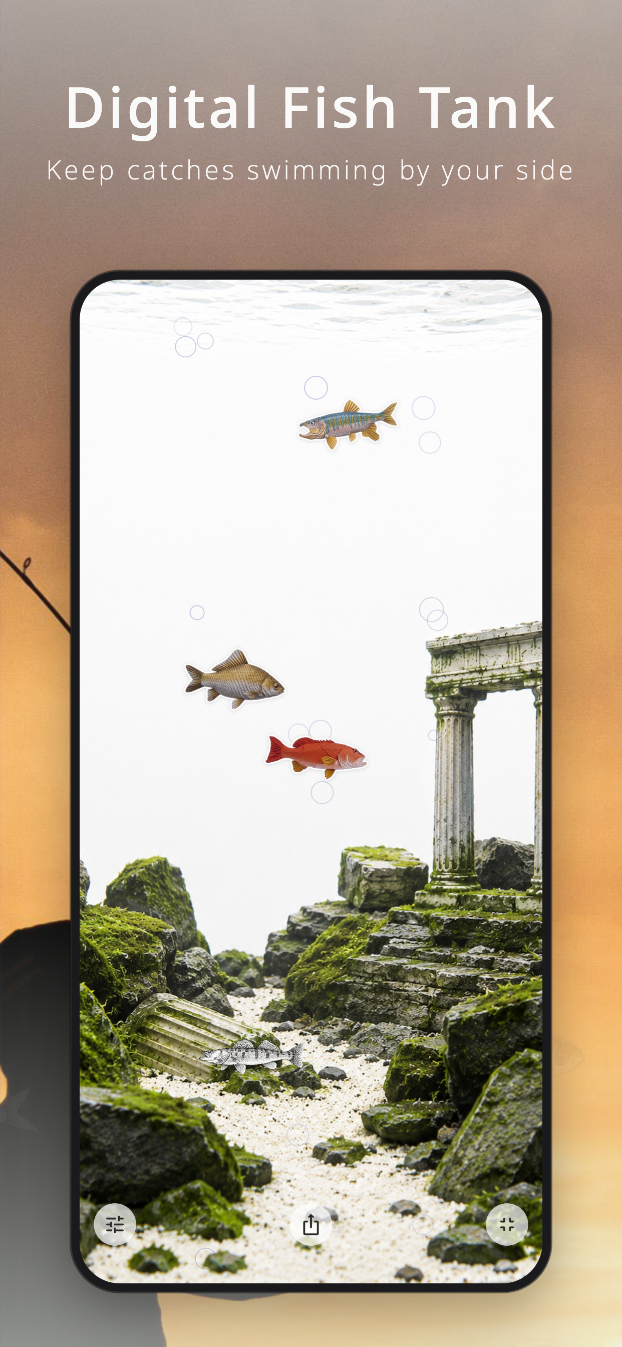 Litura - Fish Album & Collect