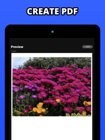 Photos To PDF - Convert Images iPad screenshot