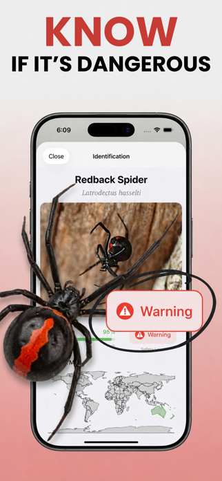 Picture Bug: Identifier Insect Screenshot 2 of 5